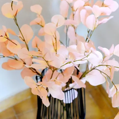 Palm Square Apartamento *