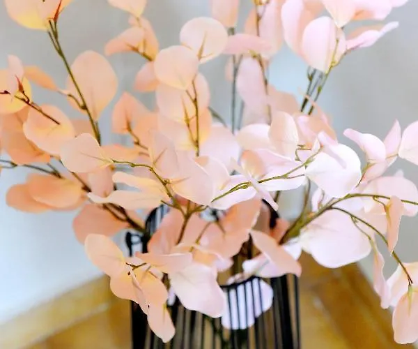 Palm Square アパート *